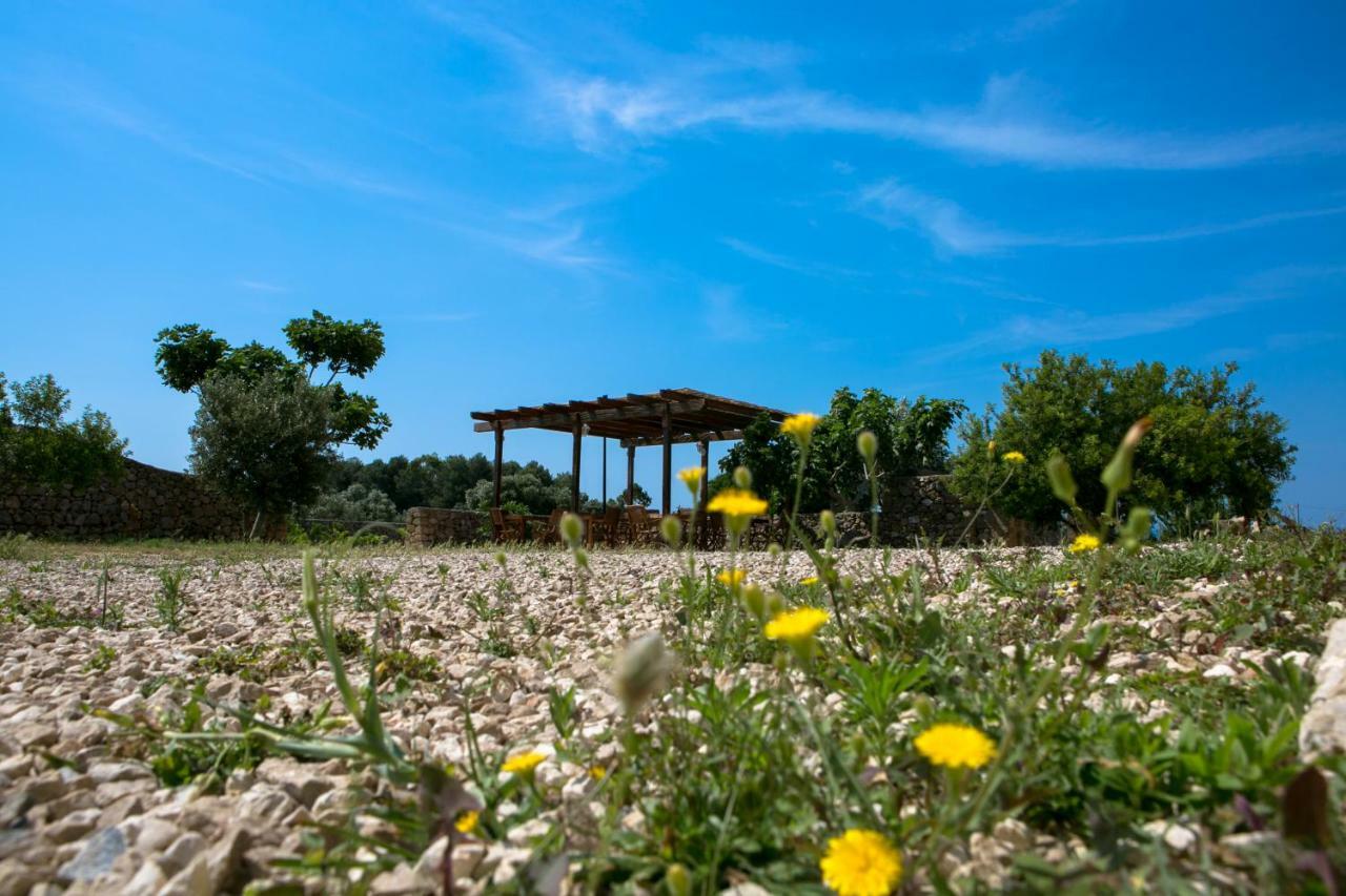 Antica Masseria Ficazzana - Tenuta Marina Di Pescoluse Exterior foto